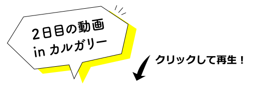 2日目の動画inカルガリー
