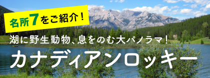 名所７をご紹介！湖に野生動物、息をのむ大パノラマ！カナディアンロッキー