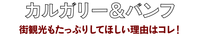 カルガリー＆バンフ　街観光もたっぷりしてほしい理由はコレ！