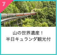 山の世界遺産！
半日キュランダ観光付