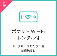 ポケットWi－Fiレンタル付※1グループあたり1台※現地渡し