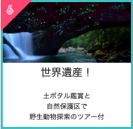 世界遺産！土ボタル鑑賞と自然保護区で野生動物探索のツアー付