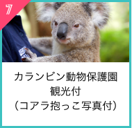 カランビン動物保護園観光付（コアラ抱っこ写真付）