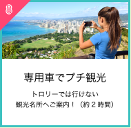 専用車でプチ観光トロリーでは行けない観光名所へご案内！（約2時間）