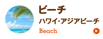 ビーチ（ハワイ、アジアビーチ）