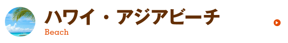 ビーチ（ハワイ、アジアビーチ）