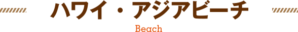 ビーチ（ハワイ、アジアビーチ）