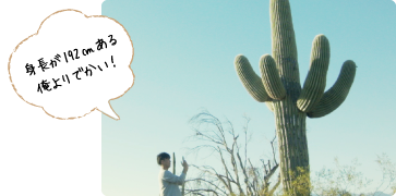 サワロ国立公園