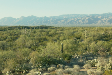 サワロ国立公園