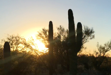 サワロ国立公園