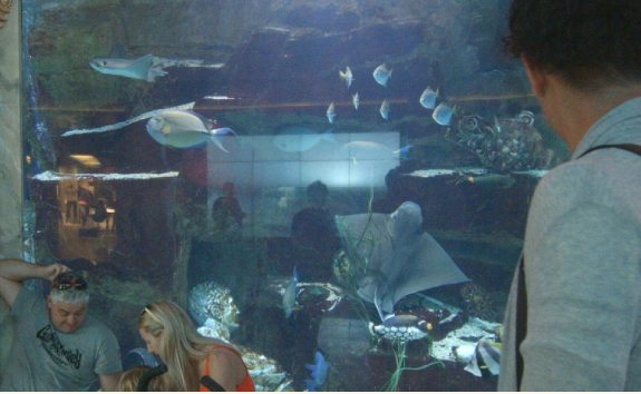 フォーラム・ショップス