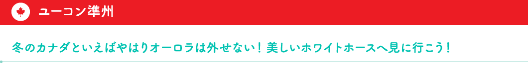 ユーコン準州　冬のカナダといえばやはりオーロラは外せない！美しいホワイトホースへ見に行こう！