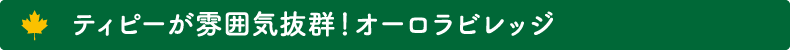 ティピーが雰囲気抜群!オーロラビレッジ