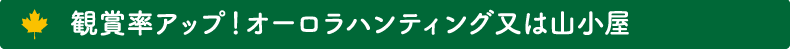 観賞率アップ!オーロラハンティング又は山小屋