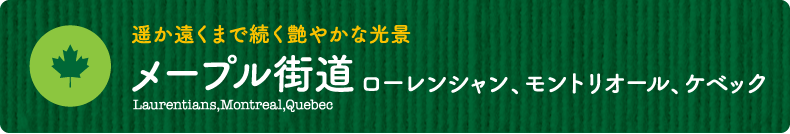遥か遠くまで続く艶やかな光景【メープル街道 ローレンシャン、モントリオール、ケベック】