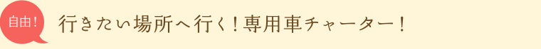 行きたい場所へ行く！専用車チャーター！