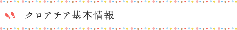クロアチア基本情報