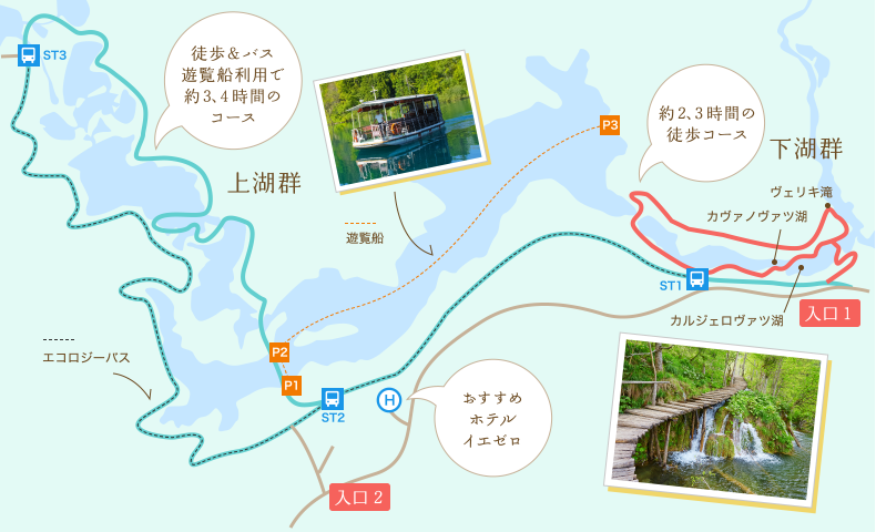 ハイキングコース