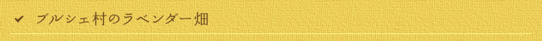 ブルジェ村のラベンダー畑