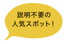 説明不要の人気スポット！