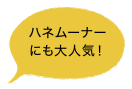 ハネムーナーにも人気！