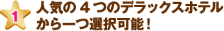 人気の4つのデラックスホテルから一つ選択可能！