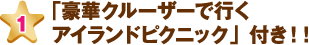 「豪華クルーザーで行くアイランドピクニック」付き！！