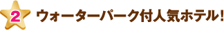 ウォーターパーク付人気ホテル!