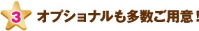 オプショナルも多数ご用意！