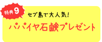 特典９　セブ島で大人気！パパイヤ石鹸プレゼント