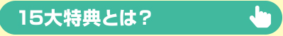 15大特典とは