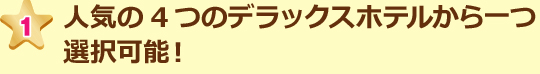 人気の4つのデラックスホテルから一つ選択可能!