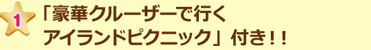 アイランドピクニックとは?