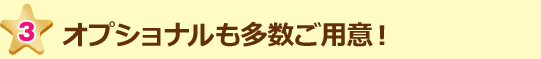 オプショナルも多数ご用意!