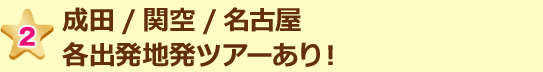 成田/関空/名古屋各出発地発ツアーあり!