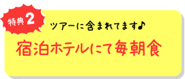 特典1 セブ島が初めての方も安心!空港ホテル間の往復送迎