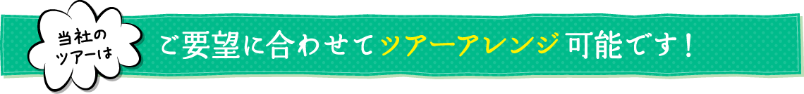 当社のツアーはご要望に合わせてツアーアレンジ可能です！
