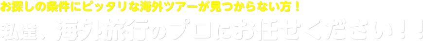 お探しの条件にピッタリな海外ツアーが見つからない方！私達、海外旅行のプロにお任せください！！