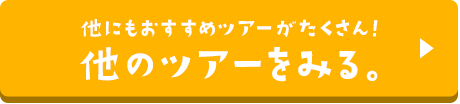 他にもおすすめツアーがたくさん！他のツアーを見る