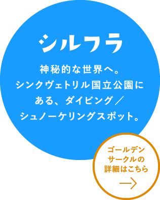 シルフラ　詳細はこちら
