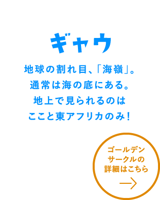 ギャウ　詳細はこちら