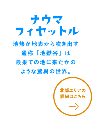 ナウマフィヤットル　詳細はこちら