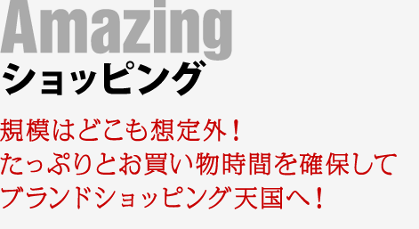 【ショッピング】規模はどこも想定外!たっぷりとお買い物時間を確保してブランドショッピング天国へ!
