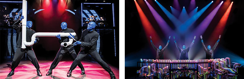 ブルーマングループ Story