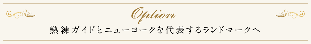 熟練ガイドとニューヨークを代表するランドマークへ