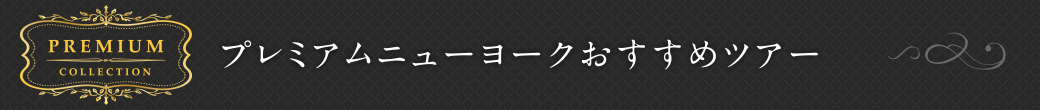 プレミアムニューヨークおすすめツアー