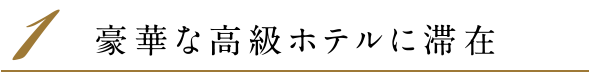 1.豪華な高級ホテルに滞在