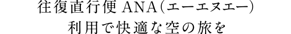往復直行便ANA（エーエヌエー）利用で快適な空の旅を