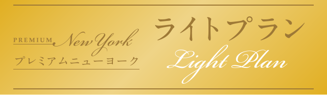 プレミアムニューヨーク　ライトプラン