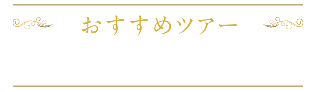 おすすめツアー　セント レジス ホテル ニューヨーク「スーペリアルーム」指定